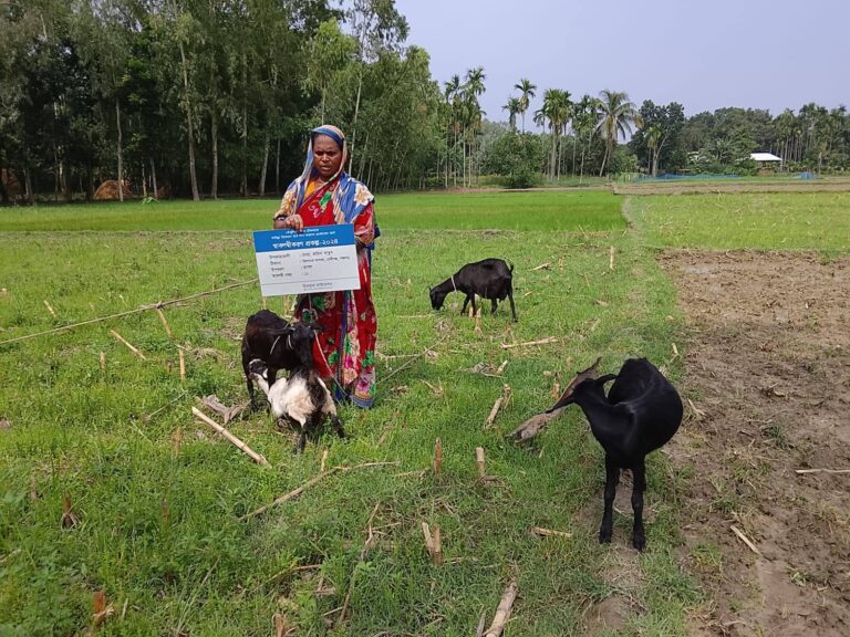 স্বাবলম্বিতার পথে জরিনা বেগম